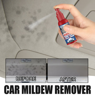 Spray Eliminador de Moho para Interior de Autos - Image 3