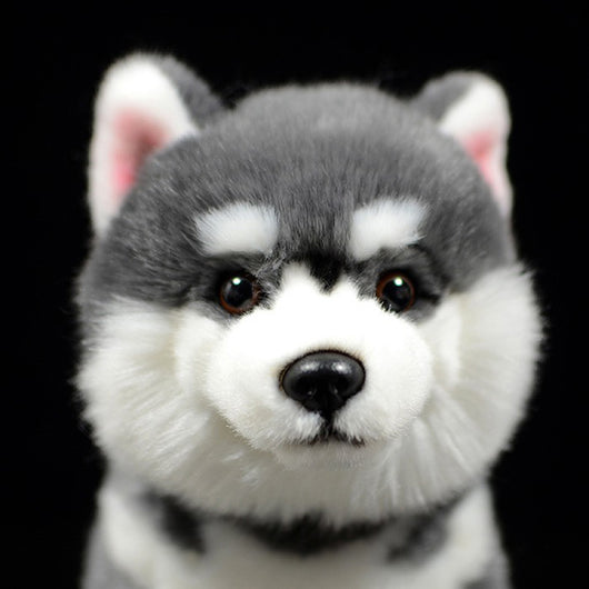 Peluche Perro Husky Siberiano Gris - Muñeco Realista de Simulación - Image 7