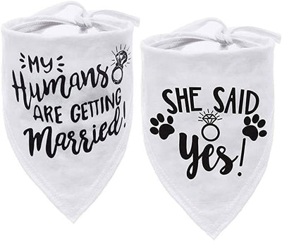 Pañuelo Bandana Triangular para Mascotas - Absorbente y Elegante - Image 4