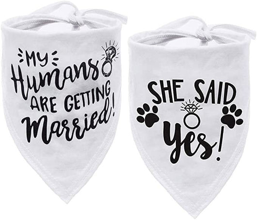 Pañuelo Bandana Triangular para Mascotas - Absorbente y Elegante - Image 4