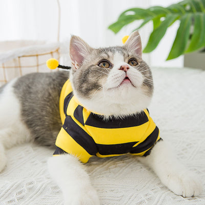 Ropa de Mascotas Inspirada en Abejas - Image 8
