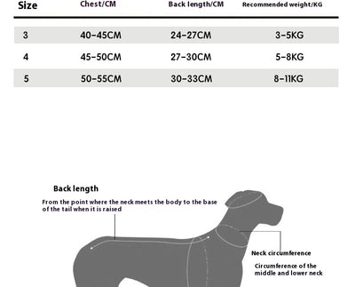 Kit de Aseo Profesional para Perros Pequeños - Schnauzer, Bichón y Razas Similares - Image 6