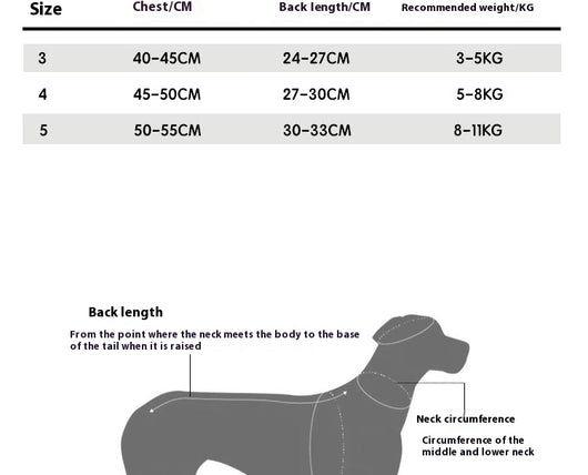 Kit de Aseo Profesional para Perros Pequeños - Schnauzer, Bichón y Razas Similares - Image 6