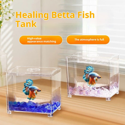 Acuario de Bloques Acrílico Reforzado para Escritorio con Decoración Natural - Image 2
