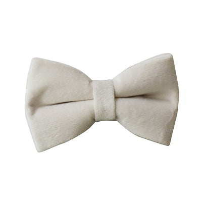Collar de Perro Terciopelo Blanco Marfil con Hebilla de Aleación - Image 9