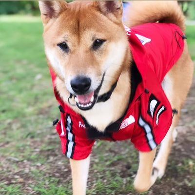 Impermeable para Perros Grandes - Resistente al Viento y la Lluvia