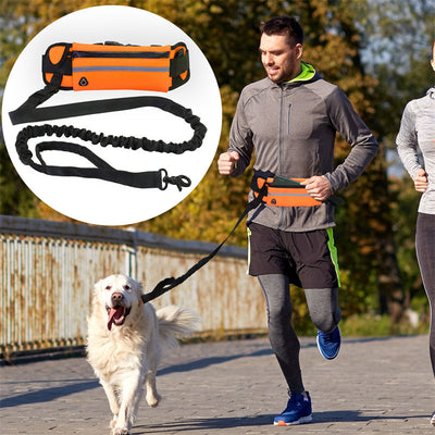 Bolso Correa para Pasear Perros - Manos Libres - Image 11