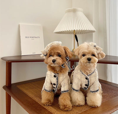 Vestido Princesa para Mascotas - Ropa Elegante para Perros y Gatos