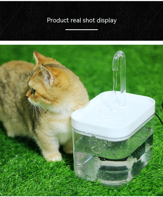 Fuente de Agua Automática Silenciosa para Gatos con Circulación Continua - Image 15