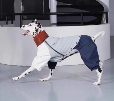 Chaqueta Impermeable para Perros Medianos - Protección Total Exterior - Image 12