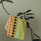 Amarillo Peral 35 X 35 49 G