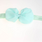 Turquoise Orchid