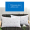 Funda De Almohada + Cojín Interior 48 CmX 74 Cm