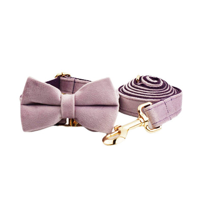 Collar de Mascota en Terciopelo con Cuerda de Tracción - Image 4