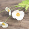 3 Flowers And 1 Bud Blanco