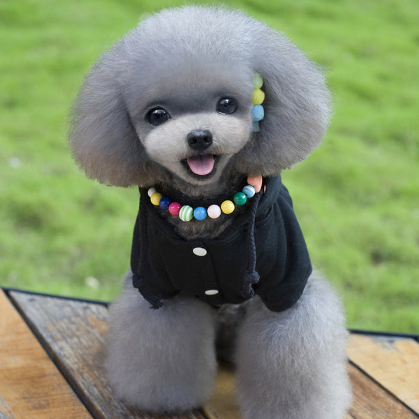 Abrigo y Gorro para Mascotas - Sudadera Cálida para Otoño e Invierno