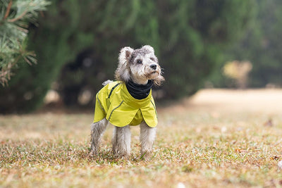 Poncho Impermeable Universal para Perros Pequeños y Medianos - Image 19