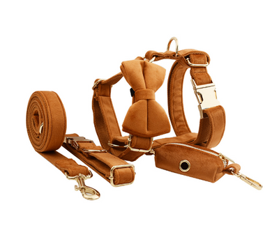 Collar de Perro Terciopelo Suave y Elegante - Image 16