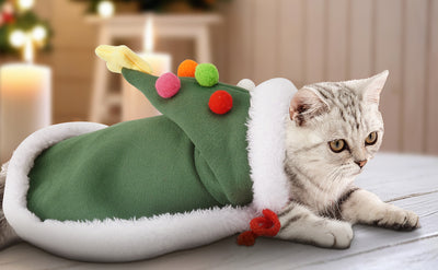 Capa Navideña para Gatos con Sombrero de Estrellas de Terciopelo - Image 14