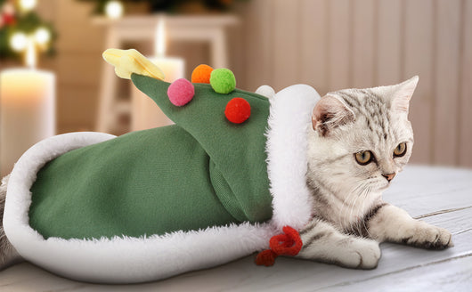 Capa Navideña para Gatos con Sombrero de Estrellas de Terciopelo - Image 14