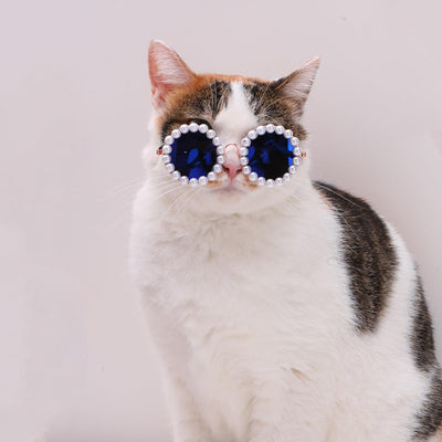 Gafas de Sol Pearl para Mascotas - Accesorios Divertidos y Elegantes para Disfraz de Fiesta - Image 3