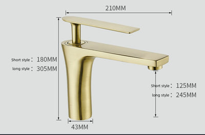 Grifo Extensible para Baño de Montaje en Pared - Image 23