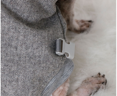 Suéter Acolchado para Mascotas con Protección Pecho y Espalda - Image 11