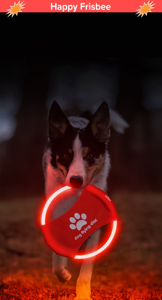 Red LED light-up dog flying disc with a white paw print logo and "dog flying disc" text. - Image 11