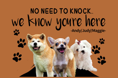 Tapete Personalizado para Gatos y Perros con Nombre - Image 11