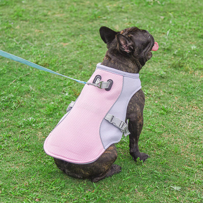 Chaleco Refrigerante Transpirable para Mascotas - Protección Verano - Image 10