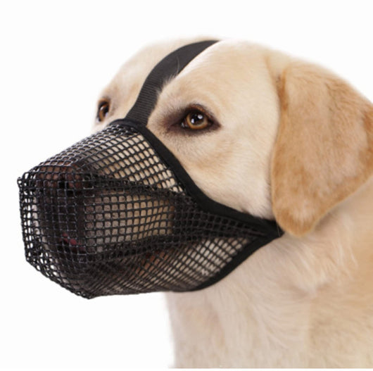 Protector Bucal Fashionable para Perros - Image 5