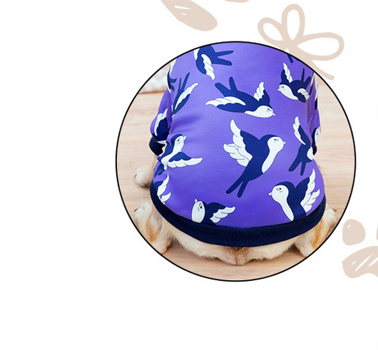 Suéter para Perro Estilo Torero - Abrigo Cálido y Elegante - Image 12