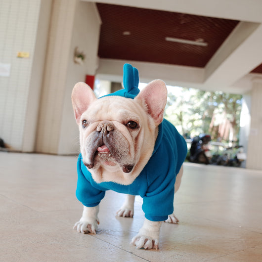 Sudadera Polar Cómoda para Mascotas - Colores Sólidos - Image 11
