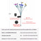 6 Luzes de Balanço Borboleta