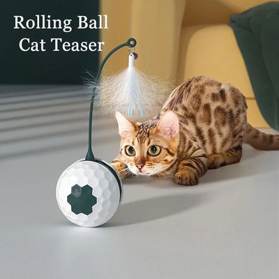 White and dark green cat teaser toy with a golf ball textured base and a flexible arm topped with white feathers. - Image 13