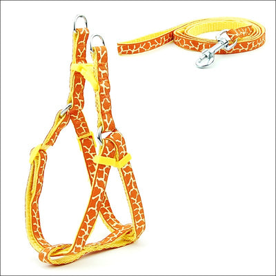Arnés de Paseo Ajustable para Gatos y Perros Pequeños - Image 36
