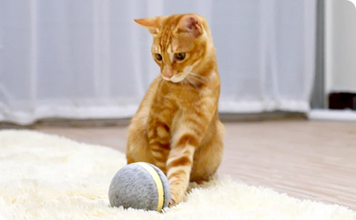 Pelota Saltarina Interactiva para Gatos - Image 16