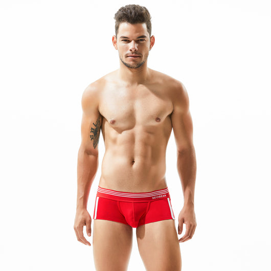 Shorts de Algodón Transpirable para Hombre - Image 22