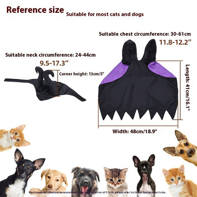 Capa y Sombrero de Halloween para Perros - Disfraz Festivo para Mascotas - Image 8
