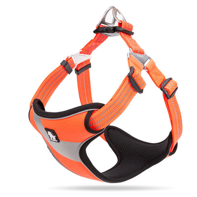 Chaleco Arnés para Perro Corgi - Cuerda Ajustable Bichón Shiba Inu - Image 12