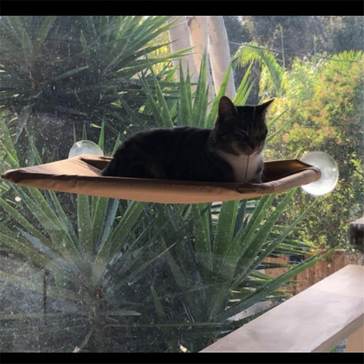 Hamaca para Gatos con Ventosas - Cama Colgante Removible y Lavable - Image 3