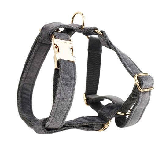 Collar para Perro de Terciopelo Premium - Image 21
