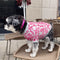 Camiseta Dog Tide con Letras - Colección Primavera Verano Europa y USA