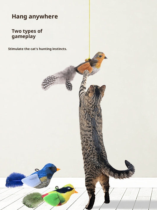 Plush bird cat toy with orange chest, brown body, and real speckled feathers, includes a yellow hanging rope. - Image 19