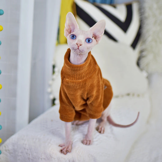 Ropa para Gatos Esfinge Neil Rong - Abrigos Térmicos Especializados - Image 3