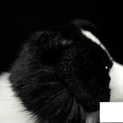 Peluche Border Collie Realista - Muñeco Suave y Adorable - Image 7