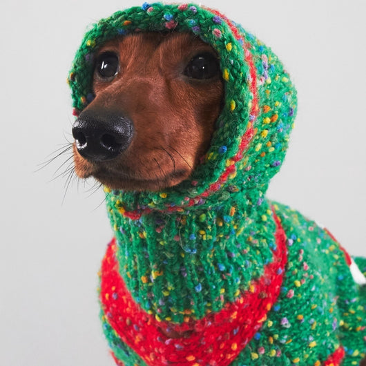 Ropa Navideña para Mascotas: Abrigo Cálido para Otoño e Invierno