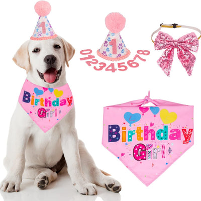 Sombrero de Cumpleaños para Perros con Números y Bandana