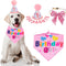 Sombrero de Cumpleaños para Perros con Números y Bandana