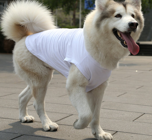 Chaleco y Camiseta para Perro XS-5XL | Ropa Fresca para Perros Pequeños - Image 11